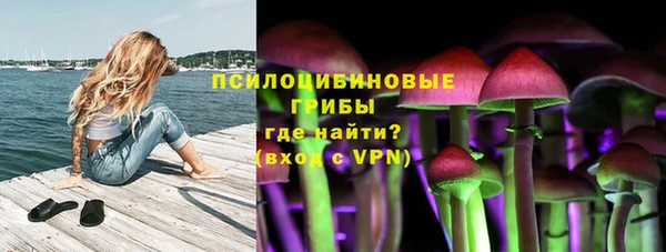 jwh Горняк