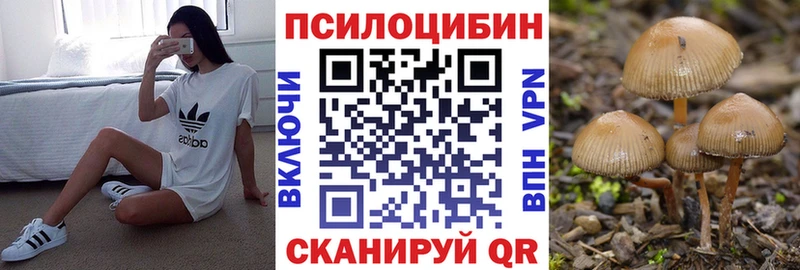 Псилоцибиновые грибы Cubensis  купить наркотики сайты  Ершов 